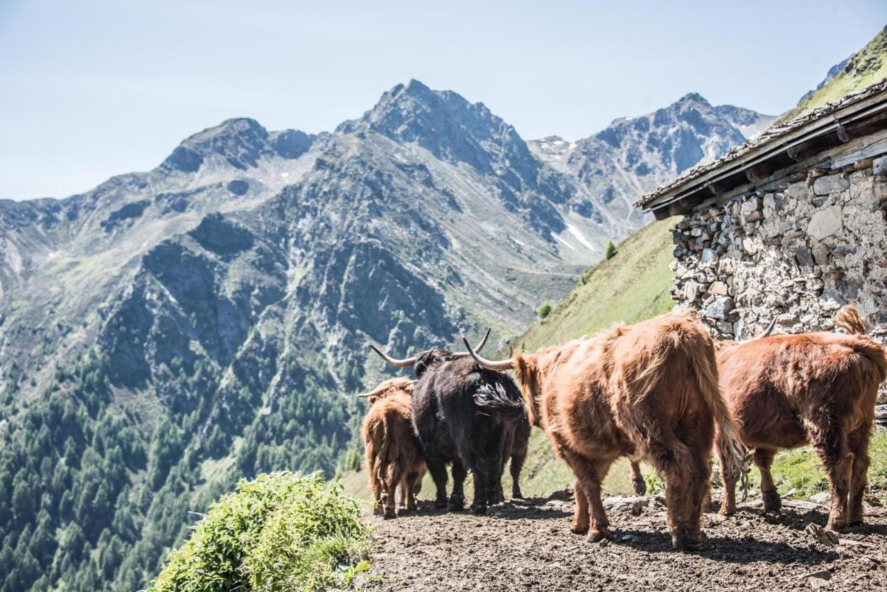Archehof Hochzirm Lodge Anton カンポ・トゥーレス エクステリア 写真